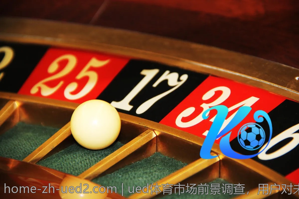 ued体育市场前景调查,用户对未来的期望