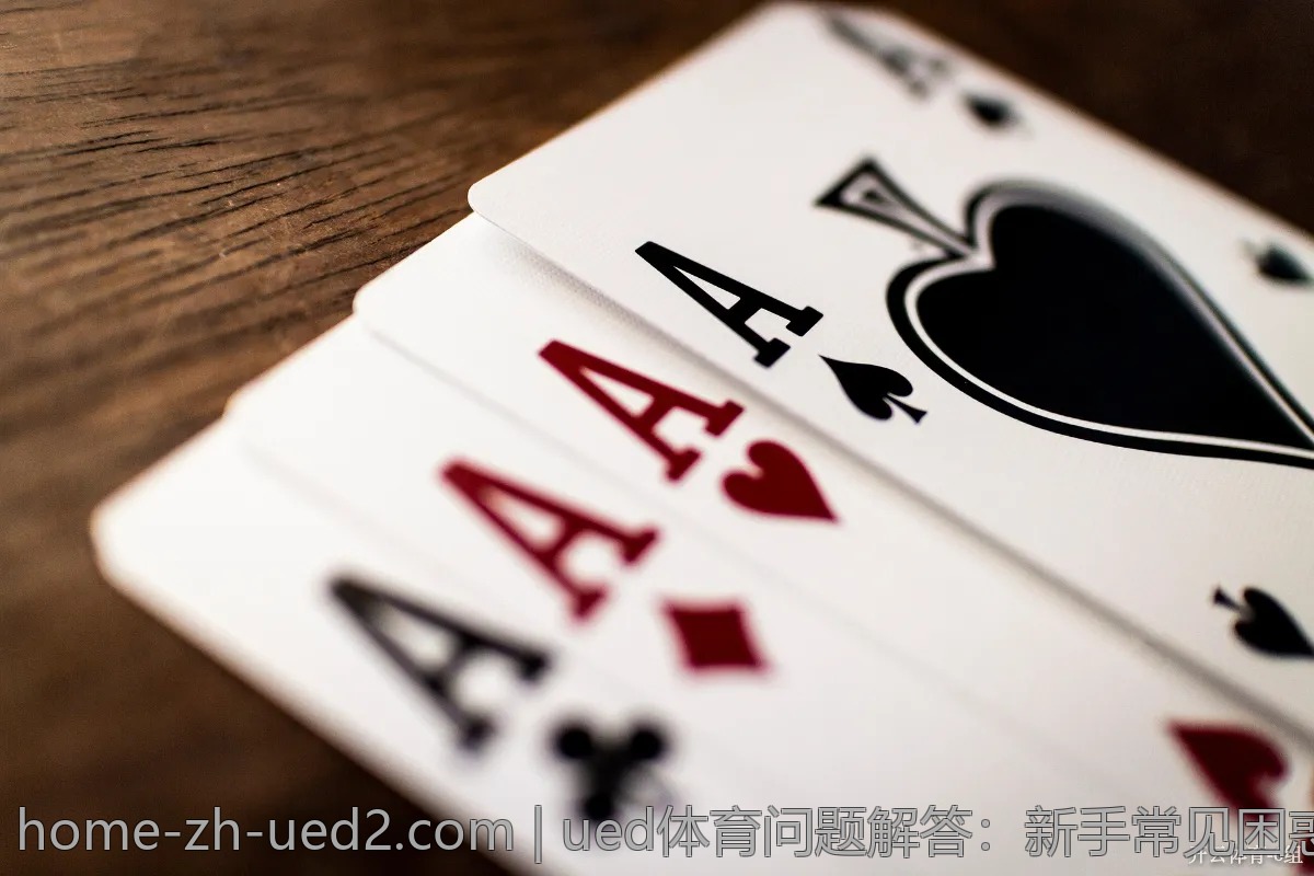 ued体育问题解答：新手常见困惑逐一击破