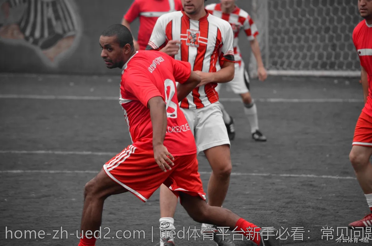 ued体育平台新手必看:常见问题与解决方案