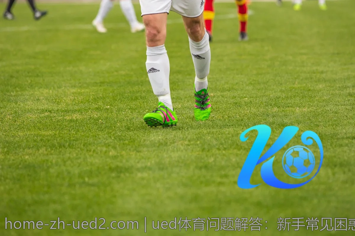 ued体育问题解答：新手常见困惑逐一击破