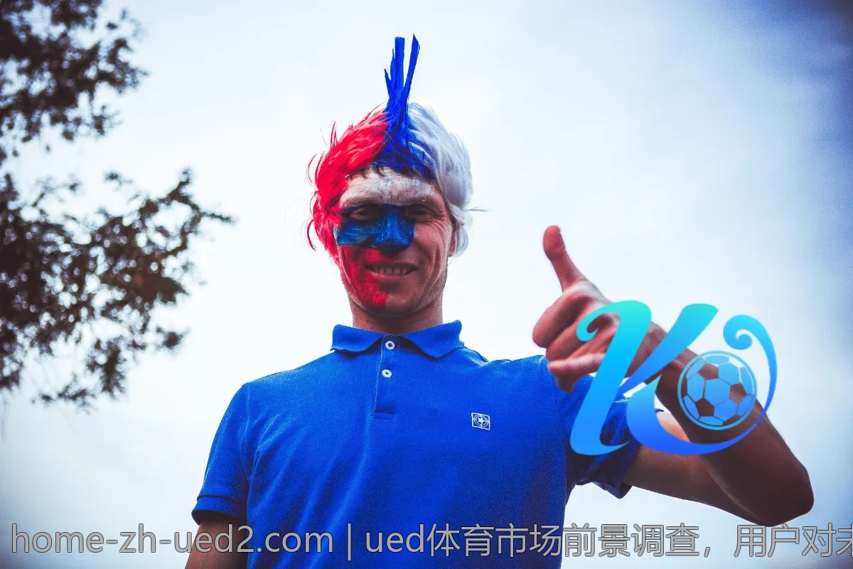 ued体育市场前景调查，用户对未来的期望